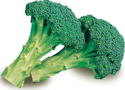 Semi Di Cavolo Broccolo Ramoso Calabrese Di Sarno Piante per Orto E Giardino Giardino e giardinaggio/Piante semi e bulbi/Piante da esterno/Vegetali La Zappa - Altamura, Commerciovirtuoso.it