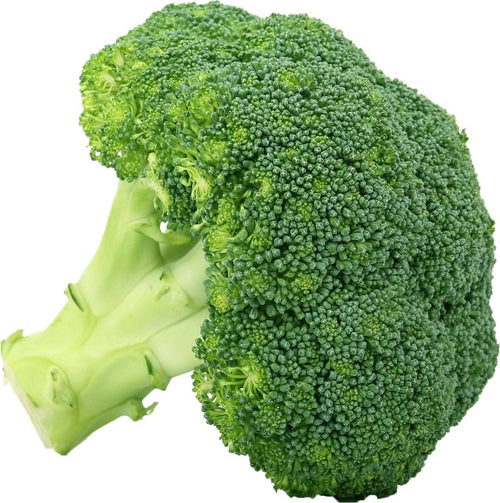 Semi di Cavolo Broccolo ramoso Calabrese tardivo Di Marzo piante per orto e giardino Giardino e giardinaggio/Piante semi e bulbi/Piante da esterno/Vegetali La Zappa - Altamura, Commerciovirtuoso.it