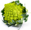 Semi di Cavolo Broccolo Romanesco Natalino piante per orto e giardino Giardino e giardinaggio/Piante semi e bulbi/Piante da esterno/Vegetali La Zappa - Altamura, Commerciovirtuoso.it
