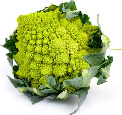 Semi di Cavolo Broccolo Romanesco Natalino piante per orto e giardino Giardino e giardinaggio/Piante semi e bulbi/Piante da esterno/Vegetali La Zappa - Altamura, Commerciovirtuoso.it
