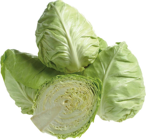 Semi Di Cavolo Cappuccio Cuor Di Bue Grosso Piante per Orto E Giardino Giardino e giardinaggio/Piante semi e bulbi/Piante da esterno/Vegetali La Zappa - Altamura, Commerciovirtuoso.it
