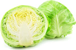 Semi di Cavolo Cappuccio Golden Acre piante per orto e giardino Giardino e giardinaggio/Piante semi e bulbi/Piante da esterno/Vegetali La Zappa - Altamura, Commerciovirtuoso.it