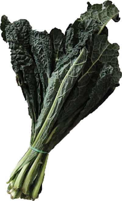 Semi di Cavolo laciniato nero di Toscana precoce piante per orto e giardino Giardino e giardinaggio/Piante semi e bulbi/Piante da esterno/Vegetali La Zappa - Altamura, Commerciovirtuoso.it