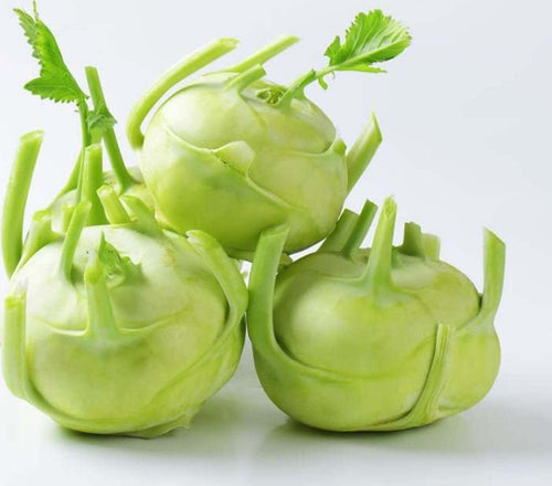 Semi di Cavolo Rapa di Vienna bianco per orto e giardino Giardino e giardinaggio/Piante semi e bulbi/Piante da esterno/Vegetali La Zappa - Altamura, Commerciovirtuoso.it