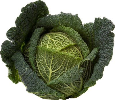 Semi di Cavolo Verza di Piacenza invernale per orto e giardino Giardino e giardinaggio/Piante semi e bulbi/Piante da esterno/Vegetali La Zappa - Altamura, Commerciovirtuoso.it