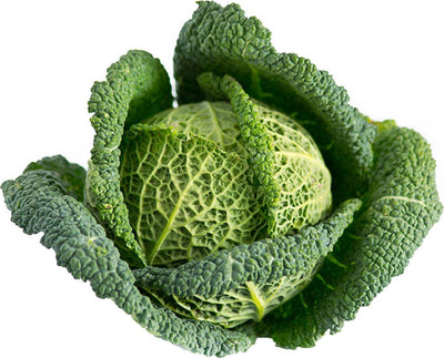 Semi di Cavolo Verza re d'inverno 2 piante per orto e giardino