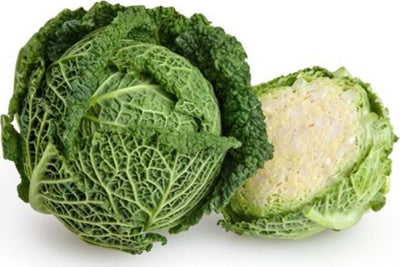 Semi Di Cavolo Verza Tardivo Delle Virtù 2 Piante per Orto E Giardino Giardino e giardinaggio/Piante semi e bulbi/Piante da esterno/Vegetali La Zappa - Altamura, Commerciovirtuoso.it