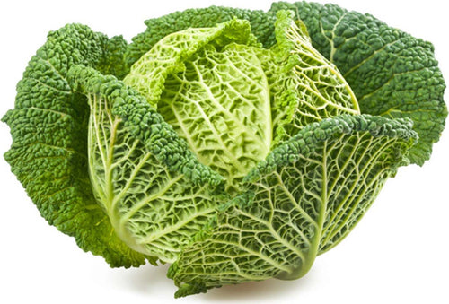Semi di Cavolo Verza tardivo di Sarno piante per orto e giardino Giardino e giardinaggio/Piante semi e bulbi/Piante da esterno/Vegetali La Zappa - Altamura, Commerciovirtuoso.it
