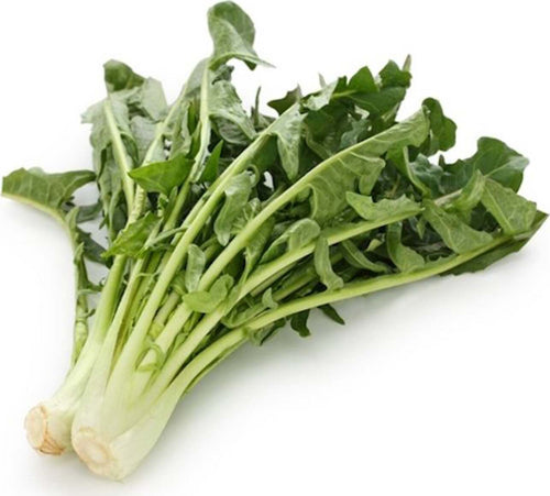 Semi Di Cicoria Catalogna per Cicoriella Piante per Orto E Giardino Giardino e giardinaggio/Piante semi e bulbi/Piante da esterno/Vegetali La Zappa - Altamura, Commerciovirtuoso.it