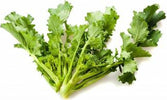 Semi di cima di rapa aprilatica 150 giorni cima grande pugliese Giardino e giardinaggio/Piante semi e bulbi/Piante da esterno/Vegetali La Zappa - Altamura, Commerciovirtuoso.it