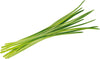 Semi di erba cipollina piante per orto e giardino coltivazione domestica e professionale Giardino e giardinaggio/Piante semi e bulbi/Sementi/Erbe aromatiche La Zappa - Altamura, Commerciovirtuoso.it