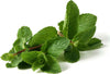 Semi di Menta piante per orto e giardino coltivazione domestica e professionale Giardino e giardinaggio/Piante semi e bulbi/Piante da esterno/Vegetali La Zappa - Altamura, Commerciovirtuoso.it