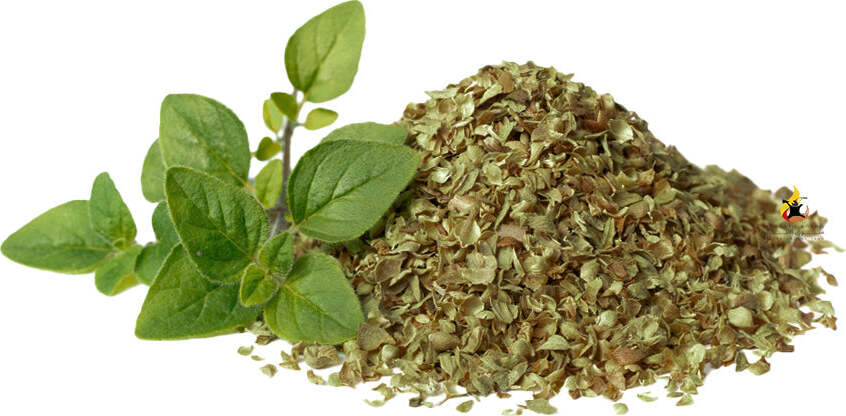 Semi di origano piante per orto e giardino coltivazione domestica e professionale Giardino e giardinaggio/Piante semi e bulbi/Piante da esterno/Vegetali La Zappa - Altamura, Commerciovirtuoso.it