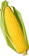 Semi di Pop corn piante per orto e giardino coltivazione domestica e professionale Giardino e giardinaggio/Piante semi e bulbi/Sementi/Cereali La Zappa - Altamura, Commerciovirtuoso.it