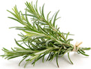 Semi di rosmarino piante per orto e giardino coltivazione domestica e professionale Giardino e giardinaggio/Piante semi e bulbi/Piante da esterno/Vegetali La Zappa - Altamura, Commerciovirtuoso.it