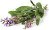 Semi di salvia selvatica piante aromatiche per orto e giardino Giardino e giardinaggio/Piante semi e bulbi/Piante da esterno/Vegetali La Zappa - Altamura, Commerciovirtuoso.it