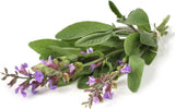 Semi di salvia selvatica piante aromatiche per orto e giardino Giardino e giardinaggio/Piante semi e bulbi/Piante da esterno/Vegetali La Zappa - Altamura, Commerciovirtuoso.it