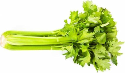 Semi di sedano d'elne ortaggio pianta per orti e giardini Giardino e giardinaggio/Piante semi e bulbi/Piante da esterno/Vegetali La Zappa - Altamura, Commerciovirtuoso.it