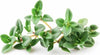 Semi di timo pianta aromatica per orto e giardino Giardino e giardinaggio/Piante semi e bulbi/Piante da esterno/Vegetali La Zappa - Altamura, Commerciovirtuoso.it
