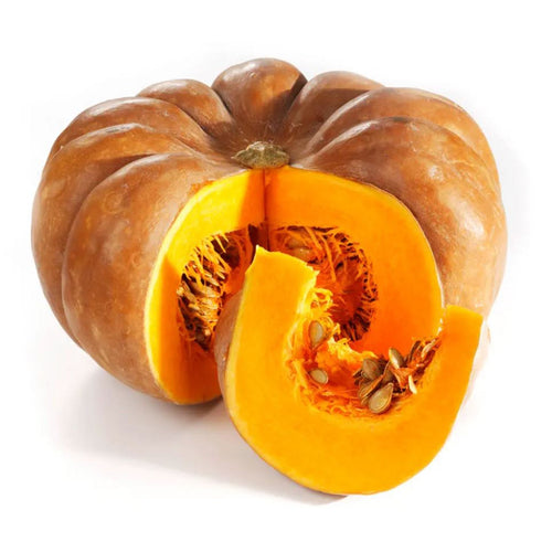Semi di zucca Mosquee de provence piante per orto e giardino coltivazione domestica e professionale