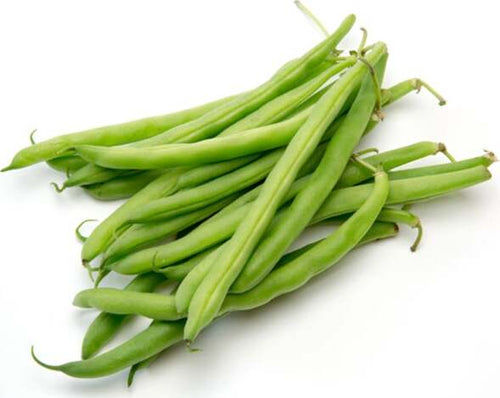Semi Fagiolo Nano Mangiatutto Dolico Dall' Occhio Pianta per Orto E Giardino Giardino e giardinaggio/Piante semi e bulbi/Piante da esterno/Vegetali La Zappa - Altamura, Commerciovirtuoso.it