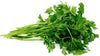 Semi prezzemolo comune foglia piccola sementi italiano aromatiche piante gr 10 Giardino e giardinaggio/Piante semi e bulbi/Piante da esterno/Vegetali La Zappa - Altamura, Commerciovirtuoso.it
