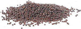 SENAPE-NERA-Semi-1-kg-Biokyma