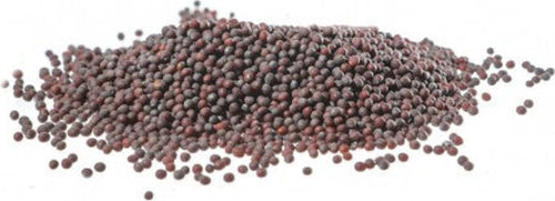 SENAPE-NERA-Semi-1-kg-Biokyma