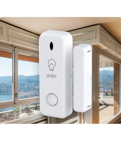 Sensore Per Porta Finestra Senza Fili Allarme Casa Wireless Smart Life Zx-d10