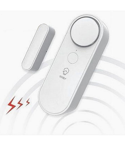 Sensore Wireless Wifi Per Porta Finestra Con Sirena Audio Alexa Google Home Zx-d41