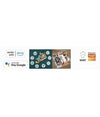 Sensore Wireless Wifi Per Porta Finestra Con Sirena Audio Alexa Google Home Zx-d41