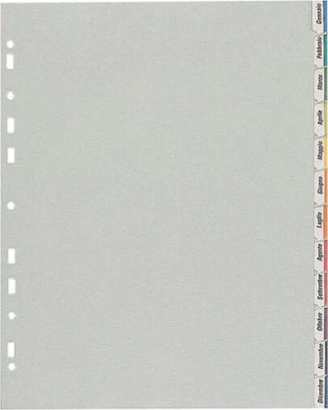 Separatore - 12 tacche personalizzabili - PP - 22x30 cm - grigio - Favorit Cancelleria e prodotti per ufficio/Archivio ufficio e accessori per scrivania/Archivio ufficio/Cartelle sospese e accessori/Indici per cartelle sospese Eurocartuccia - Pavullo, Commerciovirtuoso.it