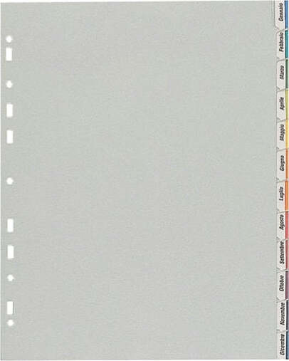 Separatore - 12 tacche personalizzabili - PP - 22x30 cm - grigio - Favorit Cancelleria e prodotti per ufficio/Archivio ufficio e accessori per scrivania/Archivio ufficio/Cartelle sospese e accessori/Indici per cartelle sospese Eurocartuccia - Pavullo, Commerciovirtuoso.it