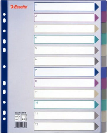 Separatore - 12 tasti - PP traslucido - A4 maxi - 24 5x29 7 cm - multicolore - Esselte Cancelleria e prodotti per ufficio/Archivio ufficio e accessori per scrivania/Archivio ufficio/Cartelle sospese e accessori/Indici per cartelle sospese Eurocartuccia - Pavullo, Commerciovirtuoso.it