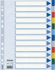 Separatore - 12 tasti colorati - PPL - A4 - multicolore - Esselte Cancelleria e prodotti per ufficio/Archivio ufficio e accessori per scrivania/Archivio ufficio/Cartelle sospese e accessori/Indici per cartelle sospese Eurocartuccia - Pavullo, Commerciovirtuoso.it
