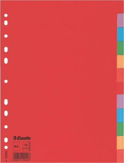 Separatore Economy - 12 tasti - cartoncino colorato 160 gr - A4 - multicolore - Esselte Cancelleria e prodotti per ufficio/Archivio ufficio e accessori per scrivania/Archivio ufficio/Cartelle sospese e accessori/Indici per cartelle sospese Eurocartuccia - Pavullo, Commerciovirtuoso.it
