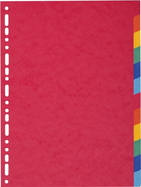 Separatore Forever - 12 tacche - cartoncino riciclato 220 gr - A4 - multicolore - Exacompta Cancelleria e prodotti per ufficio/Archivio ufficio e accessori per scrivania/Archivio ufficio/Cartelle sospese e accessori/Indici per cartelle sospese Eurocartuccia - Pavullo, Commerciovirtuoso.it