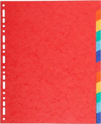 Separatore Forever - 12 tacche - cartoncino riciclato 220 gr - A4 maxi - multicolore - Exacompta Cancelleria e prodotti per ufficio/Archivio ufficio e accessori per scrivania/Archivio ufficio/Cartelle sospese e accessori/Indici per cartelle sospese Eurocartuccia - Pavullo, Commerciovirtuoso.it