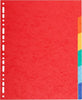 Separatore Forever - 6 tacche - cartoncino riciclato 220 gr - A4 maxi - mutlicolore - Exacompta Cancelleria e prodotti per ufficio/Archivio ufficio e accessori per scrivania/Archivio ufficio/Cartelle sospese e accessori/Indici per cartelle sospese Eurocartuccia - Pavullo, Commerciovirtuoso.it