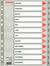 Separatore mensile Gen-Dic - PPL - A4 - grigio - Esselte Cancelleria e prodotti per ufficio/Archivio ufficio e accessori per scrivania/Archivio ufficio/Cartelle sospese e accessori/Indici per cartelle sospese Eurocartuccia - Pavullo, Commerciovirtuoso.it