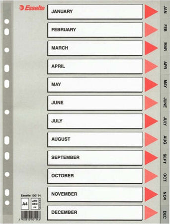 Separatore mensile Gen-Dic - PPL - A4 - grigio - Esselte Cancelleria e prodotti per ufficio/Archivio ufficio e accessori per scrivania/Archivio ufficio/Cartelle sospese e accessori/Indici per cartelle sospese Eurocartuccia - Pavullo, Commerciovirtuoso.it