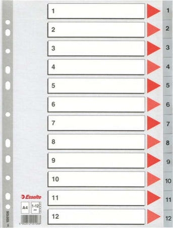 Separatore numerico 1-12 - PPL - A4 - 22 5x29 7 cm - grigio -Esselte [multipack] 10 pezzi Cancelleria e prodotti per ufficio/Archivio ufficio e accessori per scrivania/Archivio ufficio/Cartelle sospese e accessori/Indici per cartelle sospese Eurocartuccia - Pavullo, Commerciovirtuoso.it