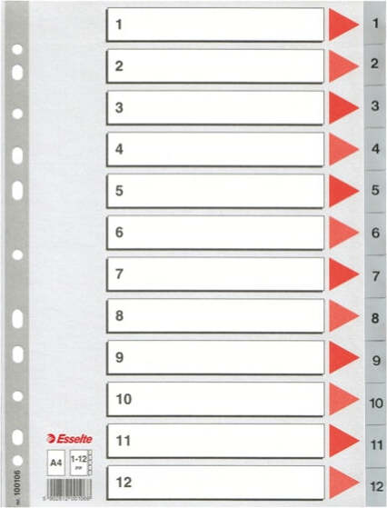 Separatore numerico 1-12 - PPL - A4 - 22 5x29 7 cm - grigio -Esselte [multipack] 10 pezzi Cancelleria e prodotti per ufficio/Archivio ufficio e accessori per scrivania/Archivio ufficio/Cartelle sospese e accessori/Indici per cartelle sospese Eurocartuccia - Pavullo, Commerciovirtuoso.it