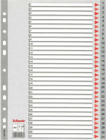 Separatore numerico 1-31 - PPL - A4 - grigio - Esselte Cancelleria e prodotti per ufficio/Archivio ufficio e accessori per scrivania/Archivio ufficio/Cartelle sospese e accessori/Indici per cartelle sospese Eurocartuccia - Pavullo, Commerciovirtuoso.it