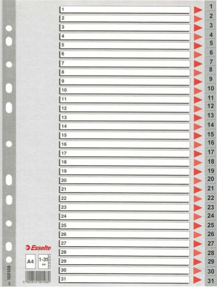 Separatore numerico 1-31 - PPL - A4 - grigio - Esselte Cancelleria e prodotti per ufficio/Archivio ufficio e accessori per scrivania/Archivio ufficio/Cartelle sospese e accessori/Indici per cartelle sospese Eurocartuccia - Pavullo, Commerciovirtuoso.it