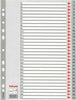 Separatore numerico 1-31 - PPL - A4 - grigio - Esselte Cancelleria e prodotti per ufficio/Archivio ufficio e accessori per scrivania/Archivio ufficio/Cartelle sospese e accessori/Indici per cartelle sospese Eurocartuccia - Pavullo, Commerciovirtuoso.it