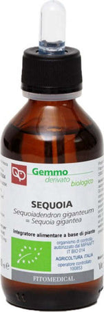 SEQUOIA-Macerato-Glicerinato-Bio-Gemme-100-ml-Fitomedical