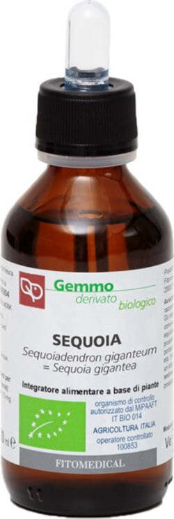 SEQUOIA-Macerato-Glicerinato-Bio-Gemme-100-ml-Fitomedical