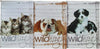 Set 10 Maxi Quaderni Wild Design A4 1 R Cancelleria e prodotti per ufficio/Carta blocchi e quaderni/Blocchi appunti taccuini e diari/Quaderni da scrittura Scontolo.net - Potenza, Commerciovirtuoso.it