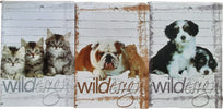 Set 10 Maxi Quaderni Wild Design A4 1 R Cancelleria e prodotti per ufficio/Carta blocchi e quaderni/Blocchi appunti taccuini e diari/Quaderni da scrittura Scontolo.net - Potenza, Commerciovirtuoso.it